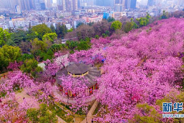 《黑潮之上》明日全平台公测！中国绊爱前来应援